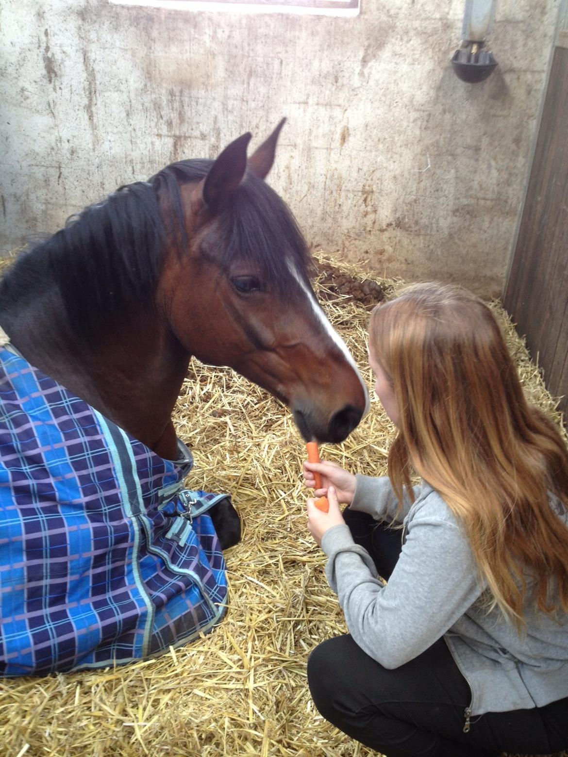 Anden særlig race Miss Patricia billede 20