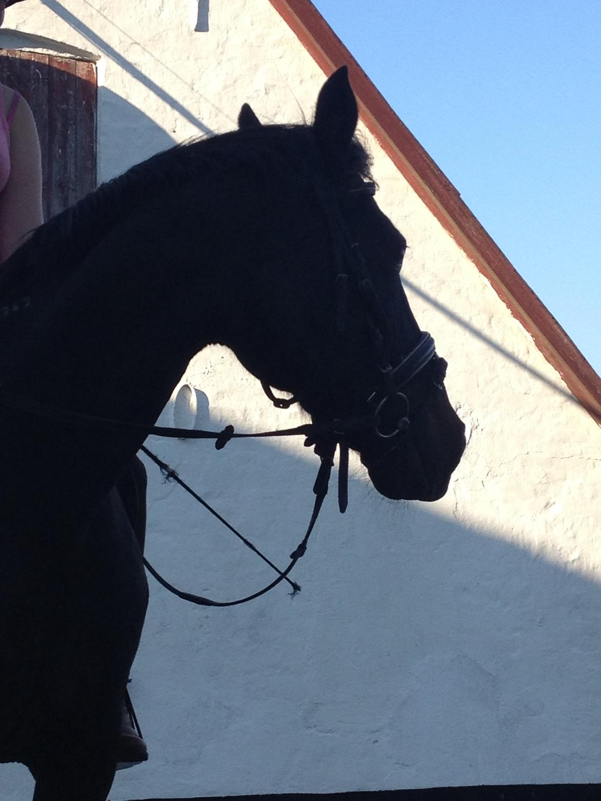 Traver Exposito Attack billede 24