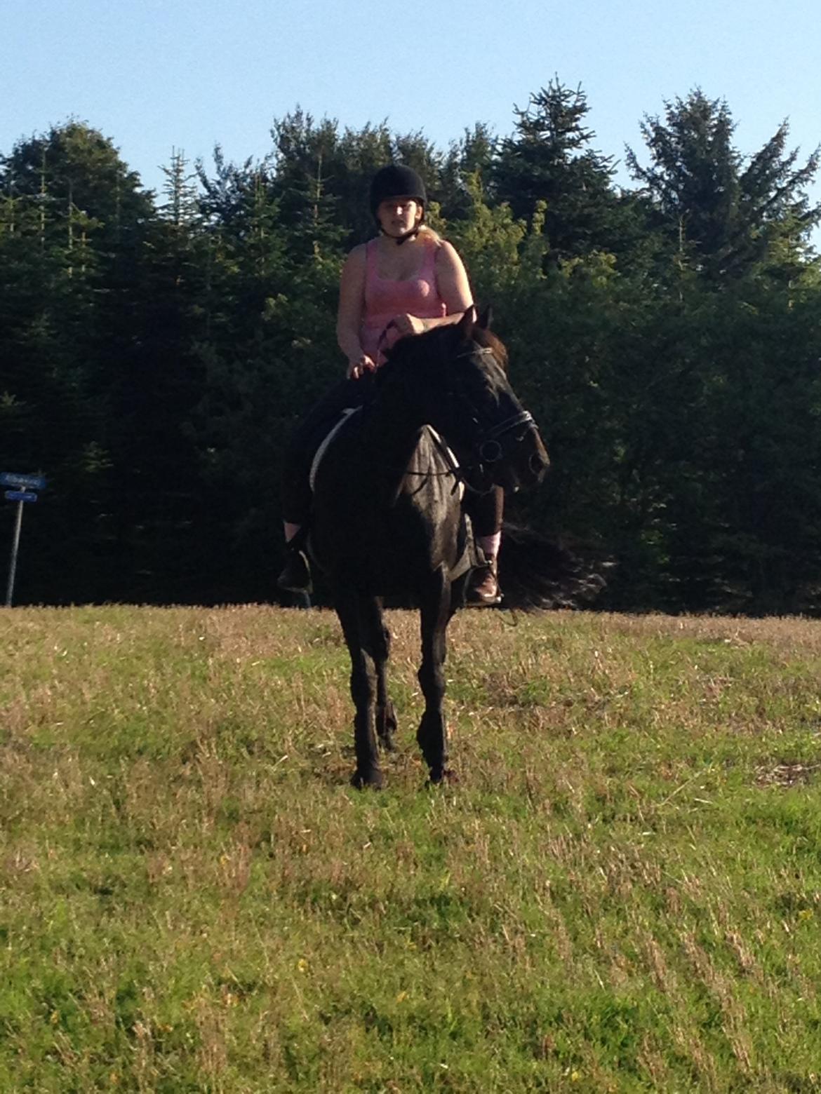 Traver Exposito Attack billede 28