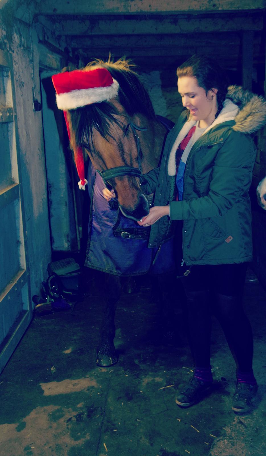 Anden særlig race Topsy SOLGT - <3<3 billede 13