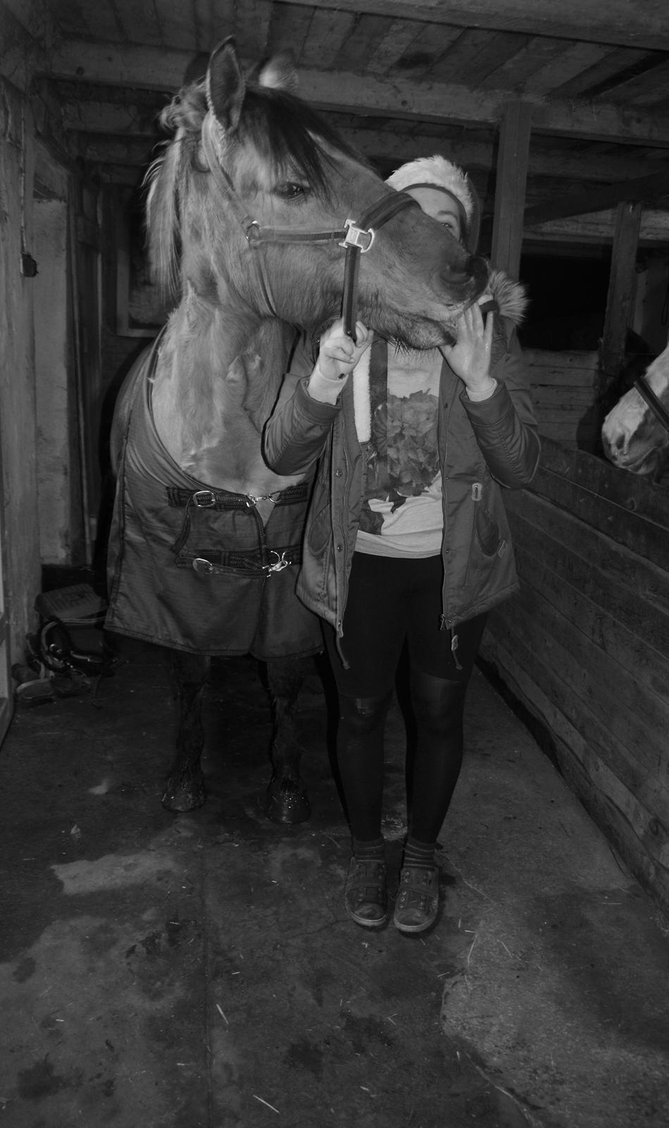 Anden særlig race Topsy SOLGT - Juuul<3

 billede 14