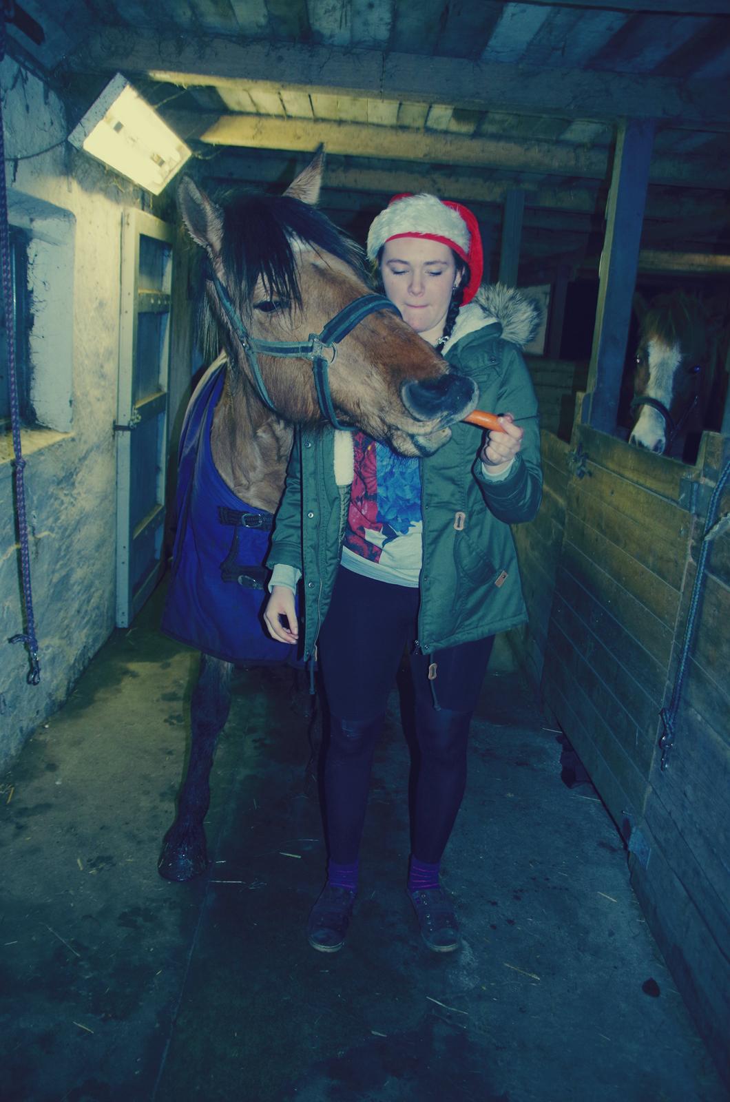 Anden særlig race Topsy SOLGT - 2013<3 billede 15