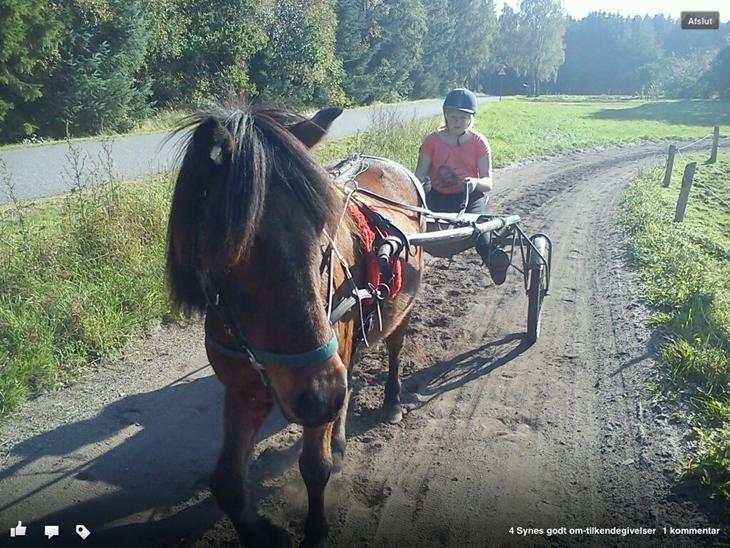 {{currentPhoto.altText}} billede {{currentPhoto.number}}