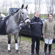 Anden særlig race Cecilie