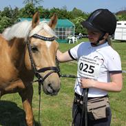 Palomino SunZett Bramley