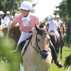 Fjordhest Caramel vårby