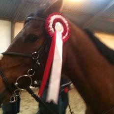 Anden særlig race Speedy The Speedfighter