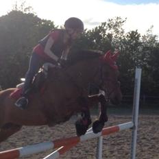 Anden særlig race Speedy The Speedfighter