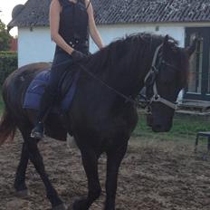 Frieser Viktor (Rider)