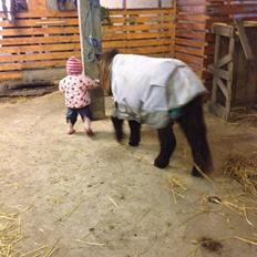 Anden særlig race Bella