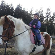 Anden særlig race Zultan