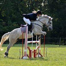 Anden særlig race silver (Min bedste ven) <3