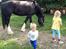 Shire Miss liva