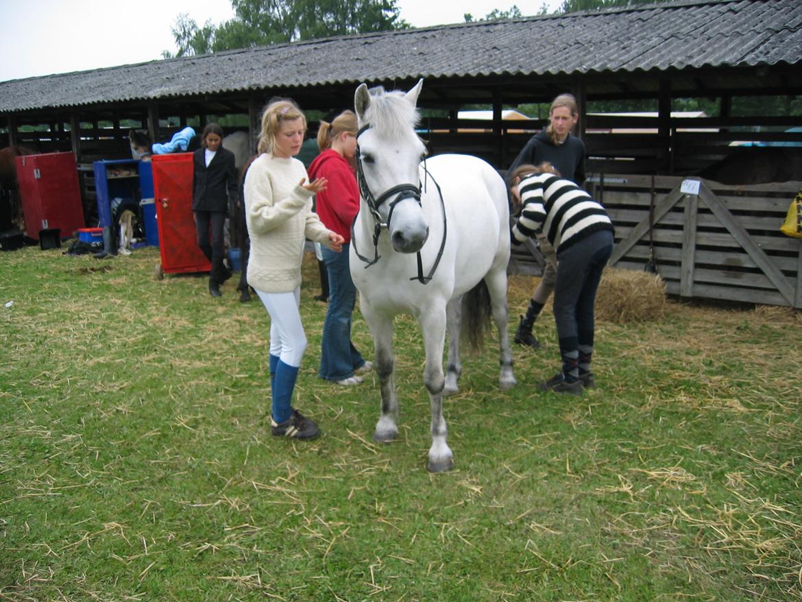 Connemara / Fjordhest - † Fanny † R.I.P. - Det fynske dyrskue 2004.
når man ikke selv kan være der så er det godt der er mange der vil hjælpe billede 14