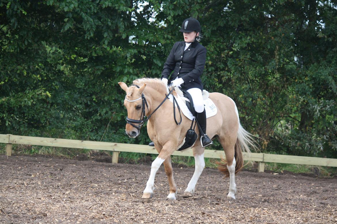 Anden særlig race Molly<3 - LC3 1. plads!<3 billede 16