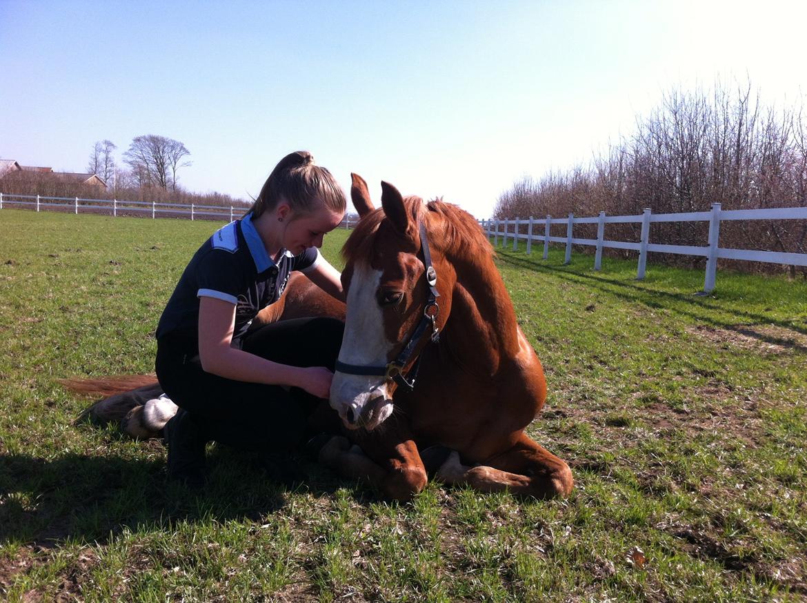 Anden særlig race Bækgårdens Rarfiti - dejlige pony :-* billede 15