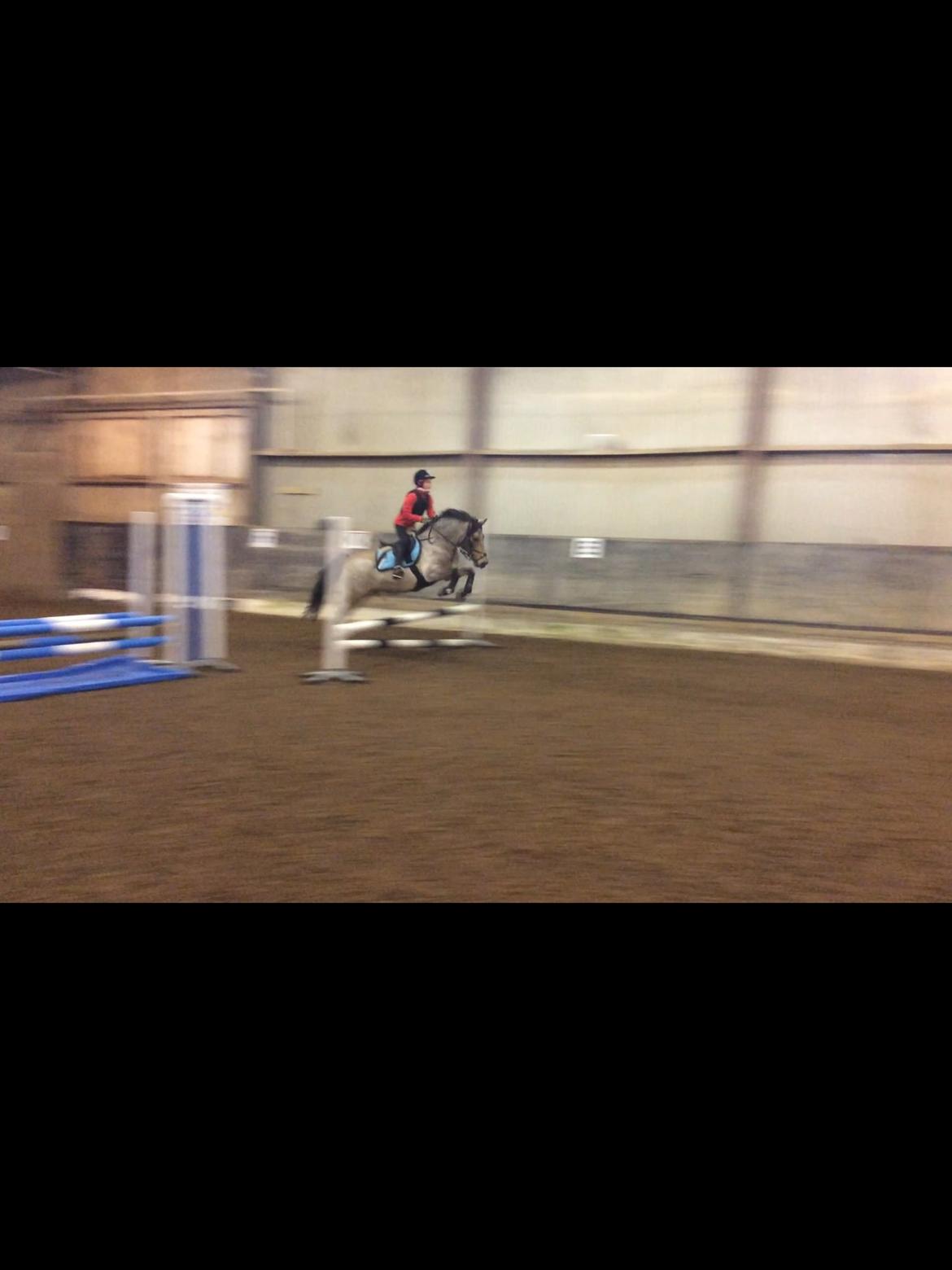 Connemara Jolly Jumper billede 7