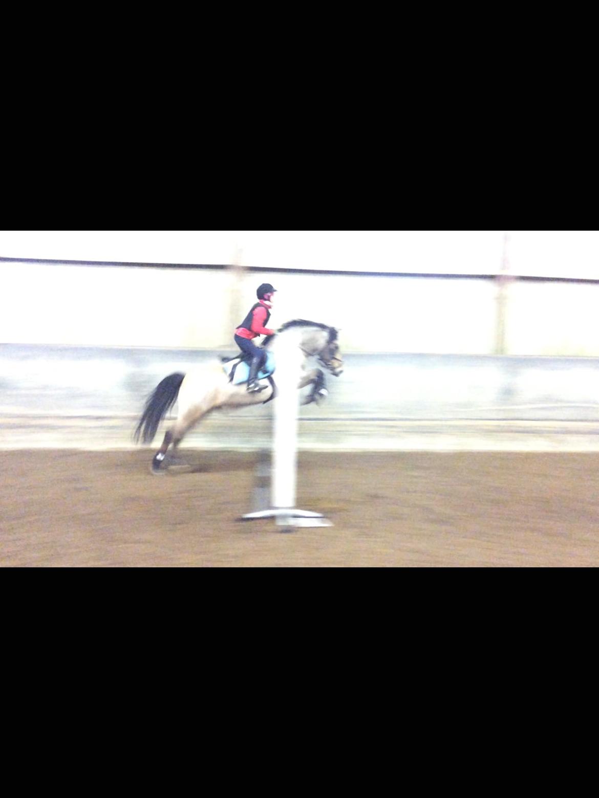 Connemara Jolly Jumper billede 8