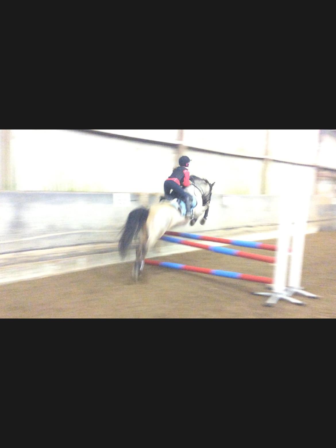 Connemara Jolly Jumper billede 9