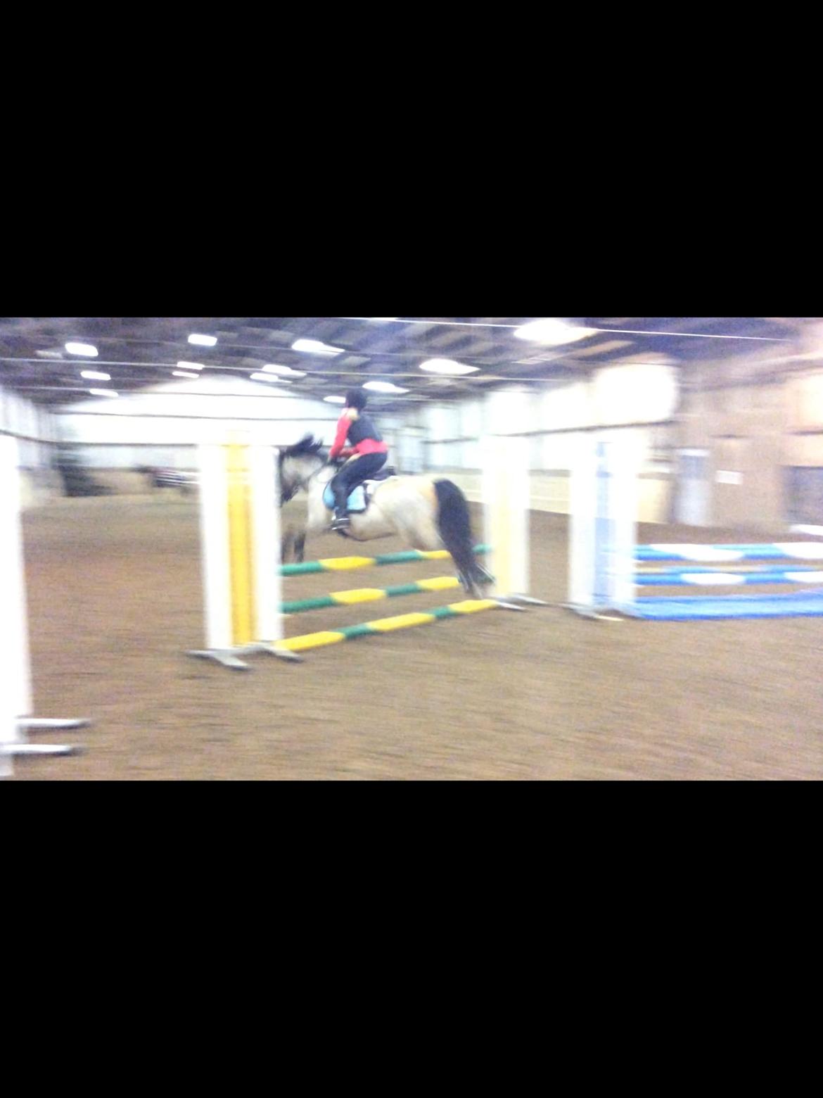 Connemara Jolly Jumper billede 10