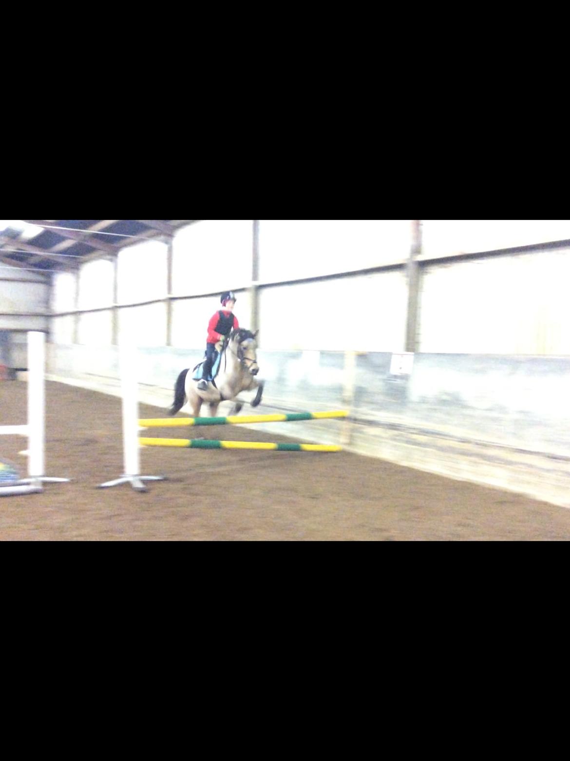 Connemara Jolly Jumper billede 11