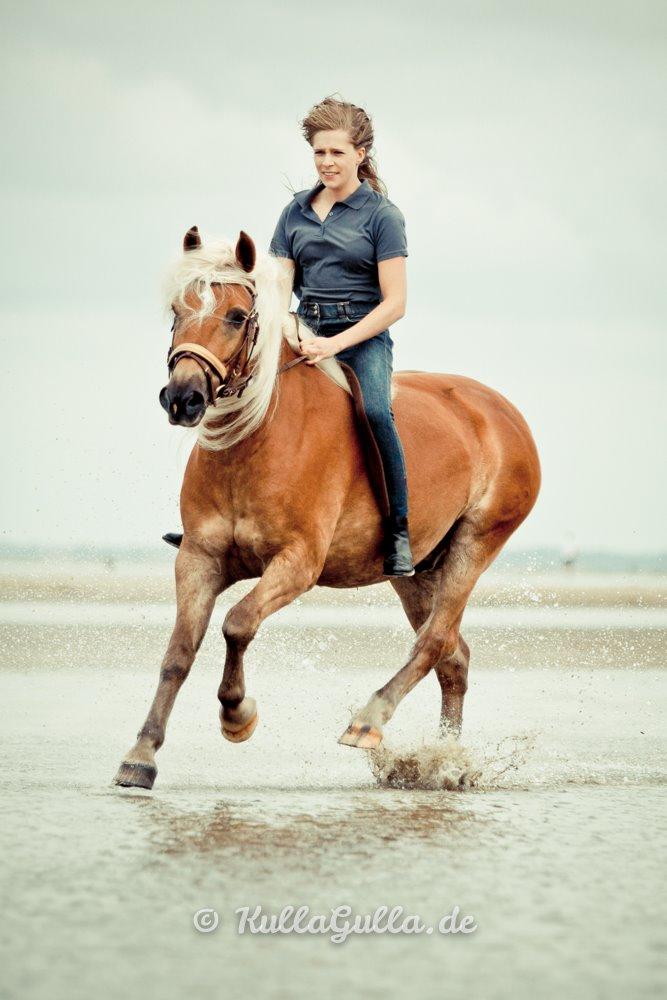 Haflinger WELTENSTOLZ - Billedet er taget af vor-die-linse og flere billeder kan ses på kullagulla.de billede 8