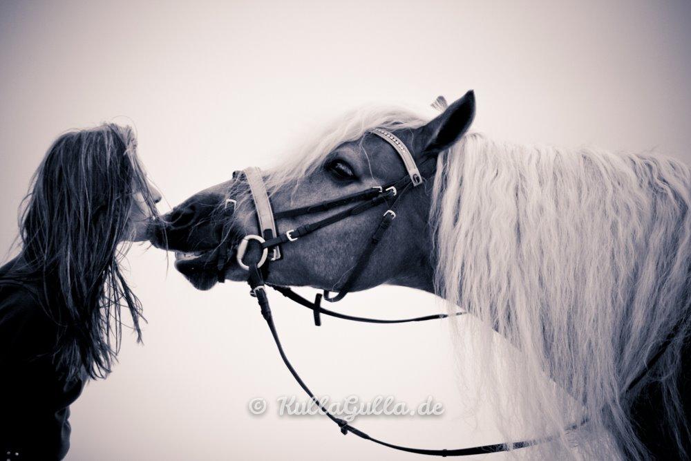 Haflinger WELTENSTOLZ - Billedet er taget af vor-die-linse og flere billeder kan ses på kullagulla.de billede 9