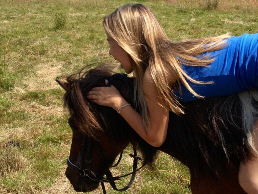 Pinto klaus billede 13