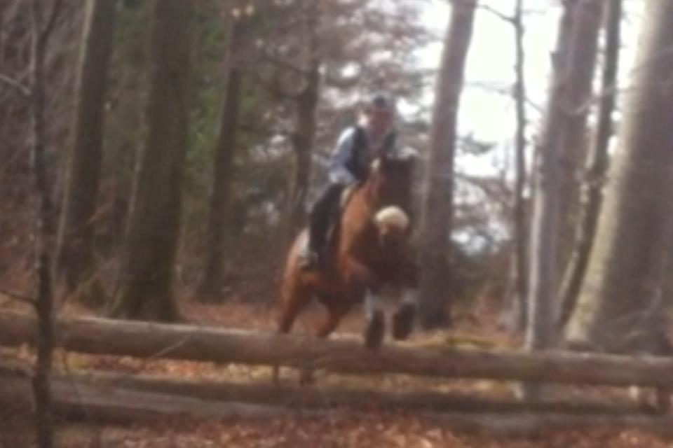 Anden særlig race Speedy The Speedfighter - Speedy og jeg ved Langesø  billede 13