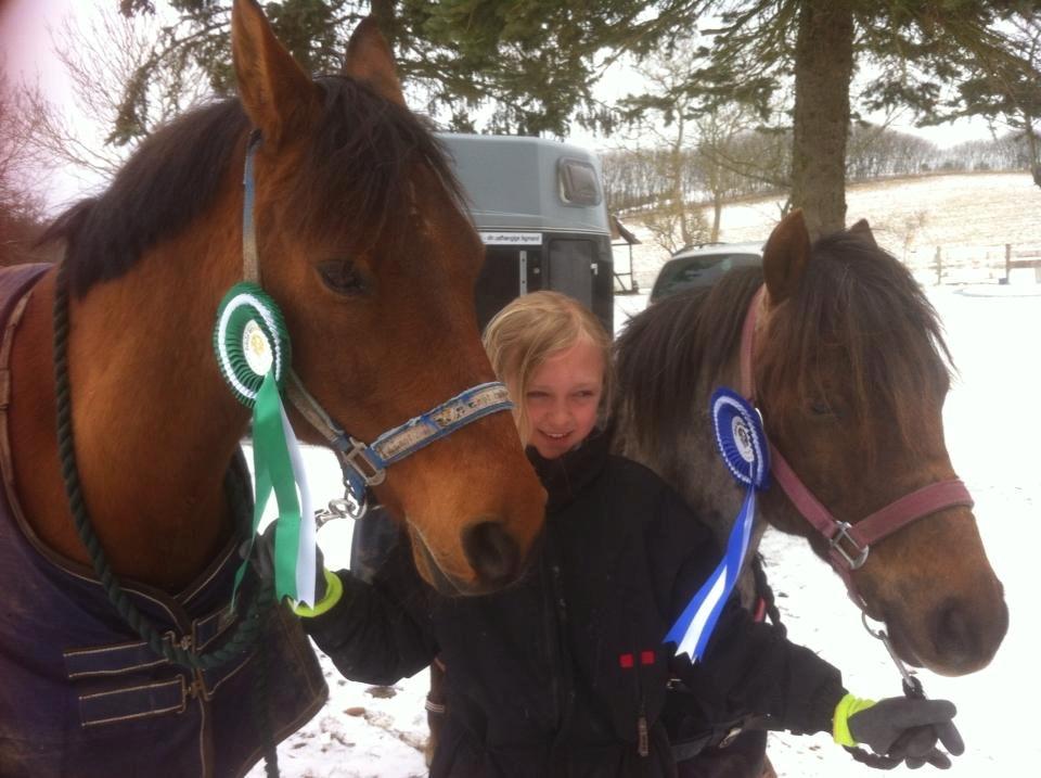Anden særlig race Speedy The Speedfighter - 2. plads på Felix og 3. plads på Speedy billede 17