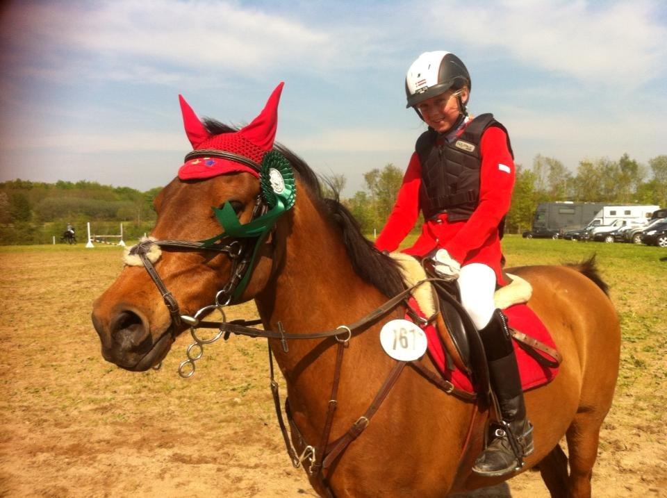 Anden særlig race Speedy The Speedfighter - Kolding Rideklub. 4. plads billede 18