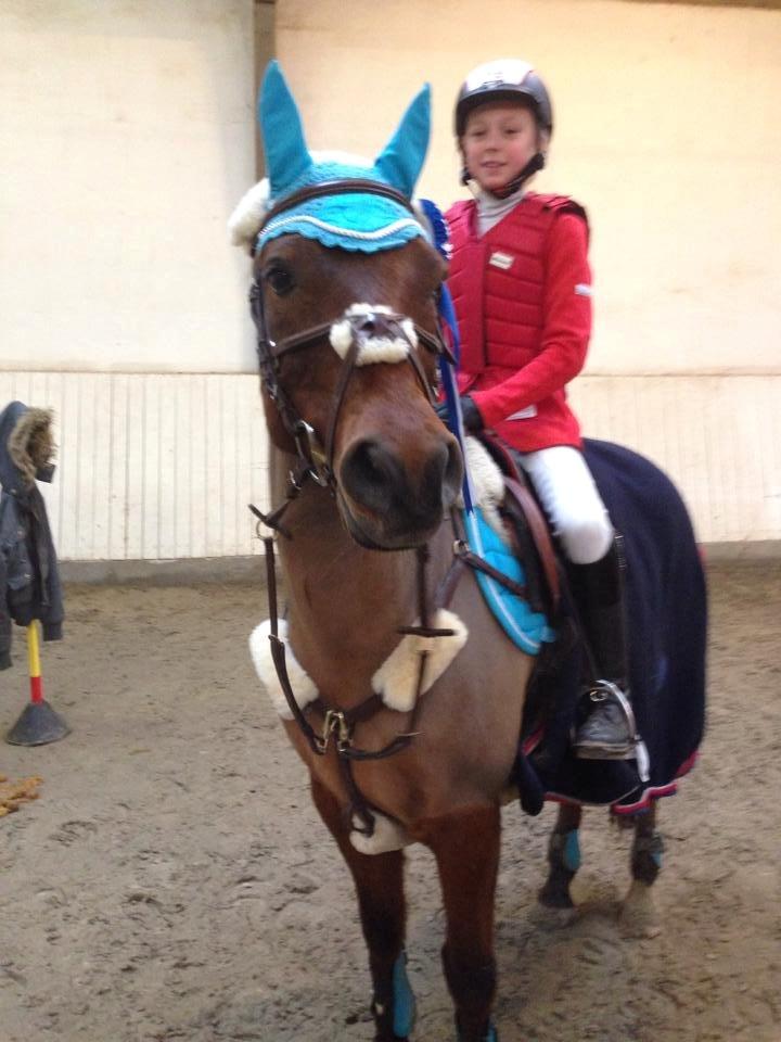 Anden særlig race Speedy The Speedfighter - Speedyfighter. 2. plads billede 19