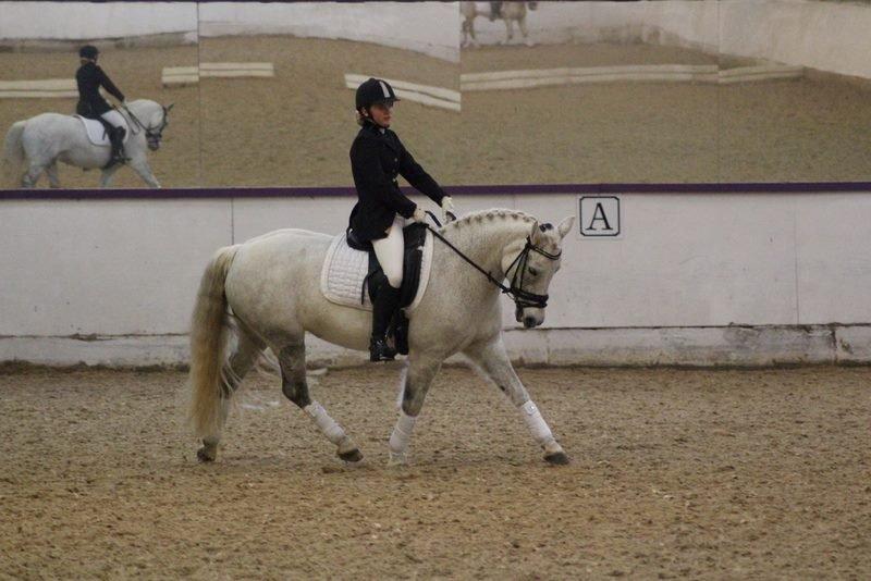 Anden særlig race Misti <3 - Misti i en LB1, 28. december 2013 <3 billede 4