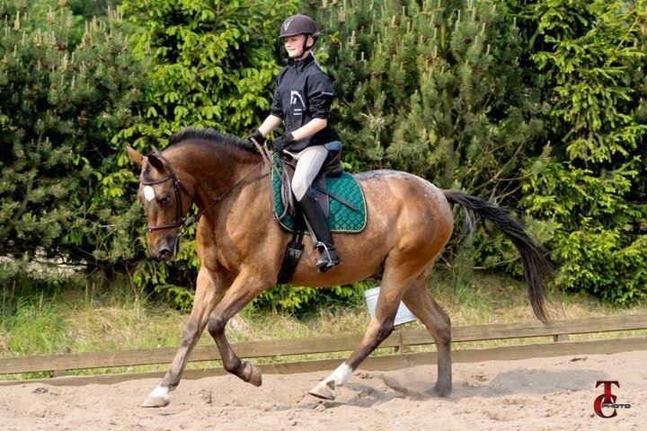 Anden særlig race Tchad the Spot (Død 2012) billede 20