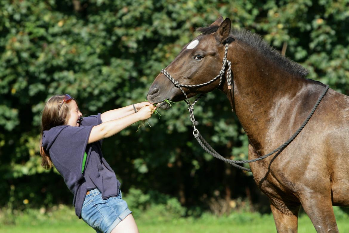 Anden særlig race Tchad the Spot (Død 2012) billede 19