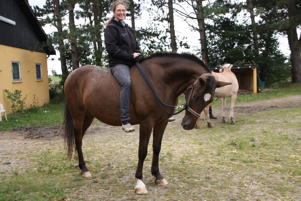 Anden særlig race Tchad the Spot (Død 2012) billede 18