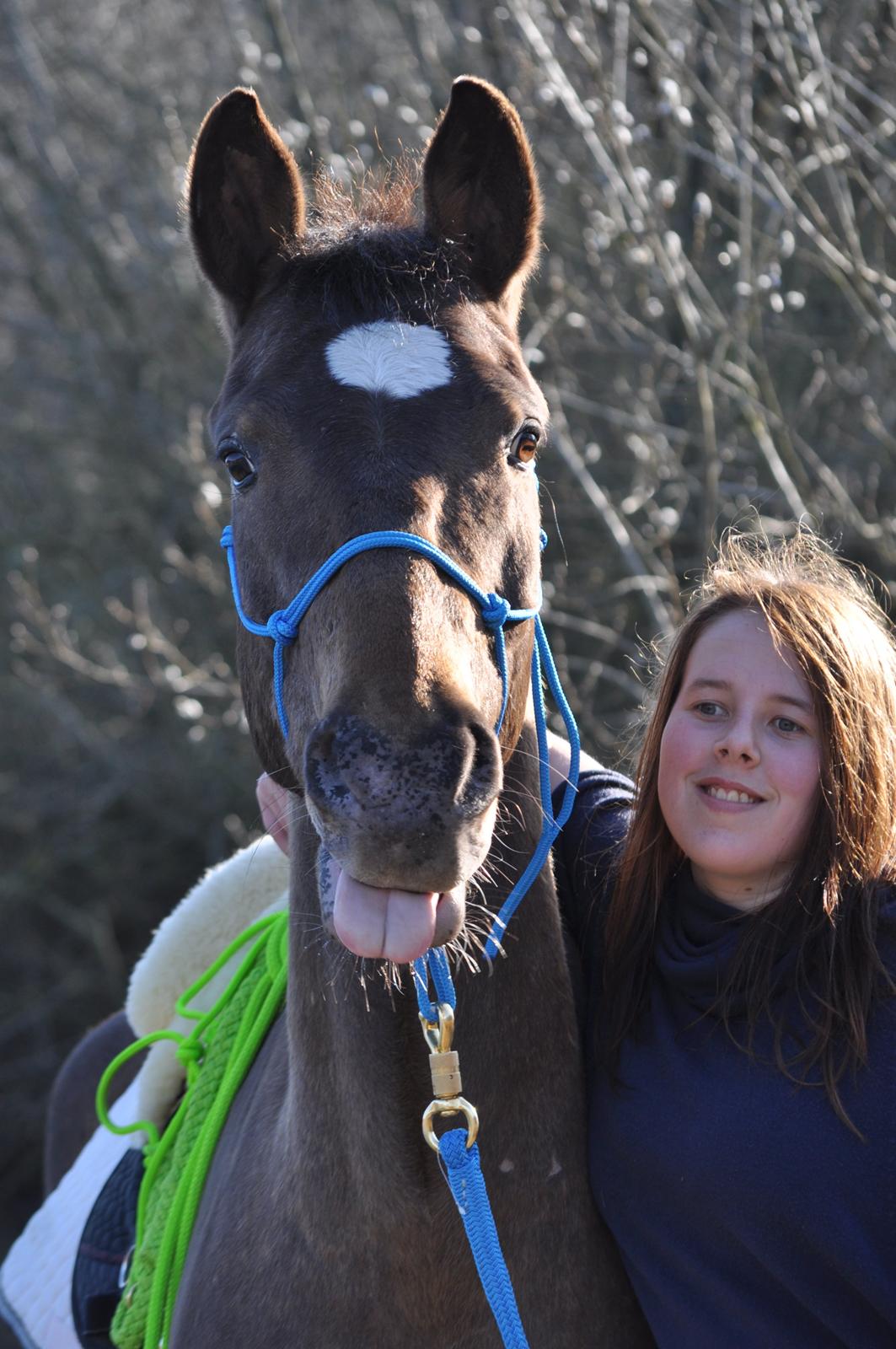 Anden særlig race Tchad the Spot (Død 2012) billede 35