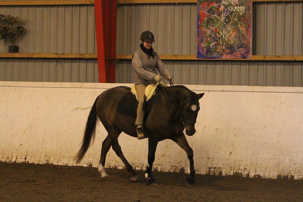 Anden særlig race Tchad the Spot (Død 2012) billede 43