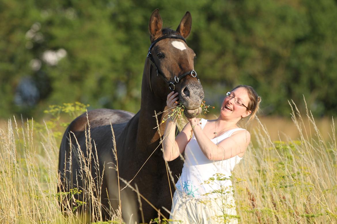 Anden særlig race Tchad the Spot (Død 2012) billede 48
