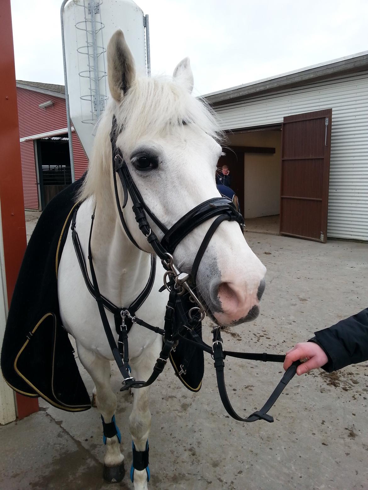 Anden særlig race Milky Way billede 13