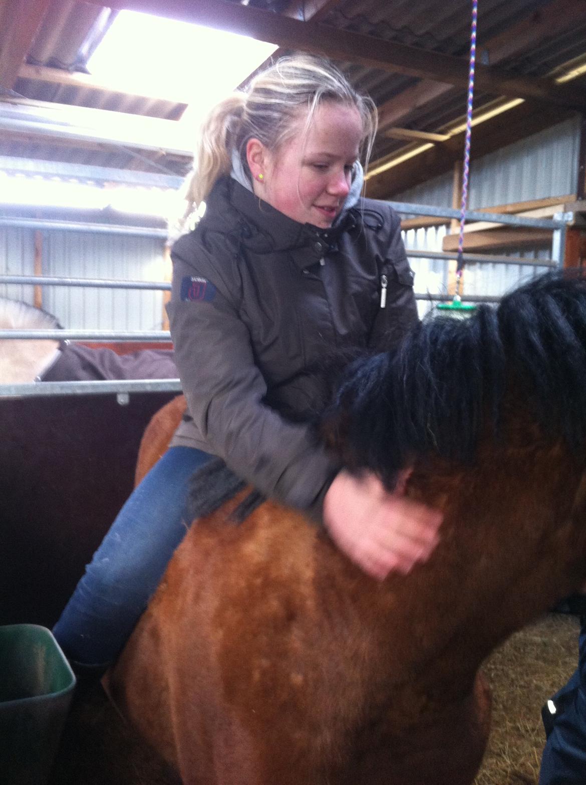 DSP De Lukas billede 3