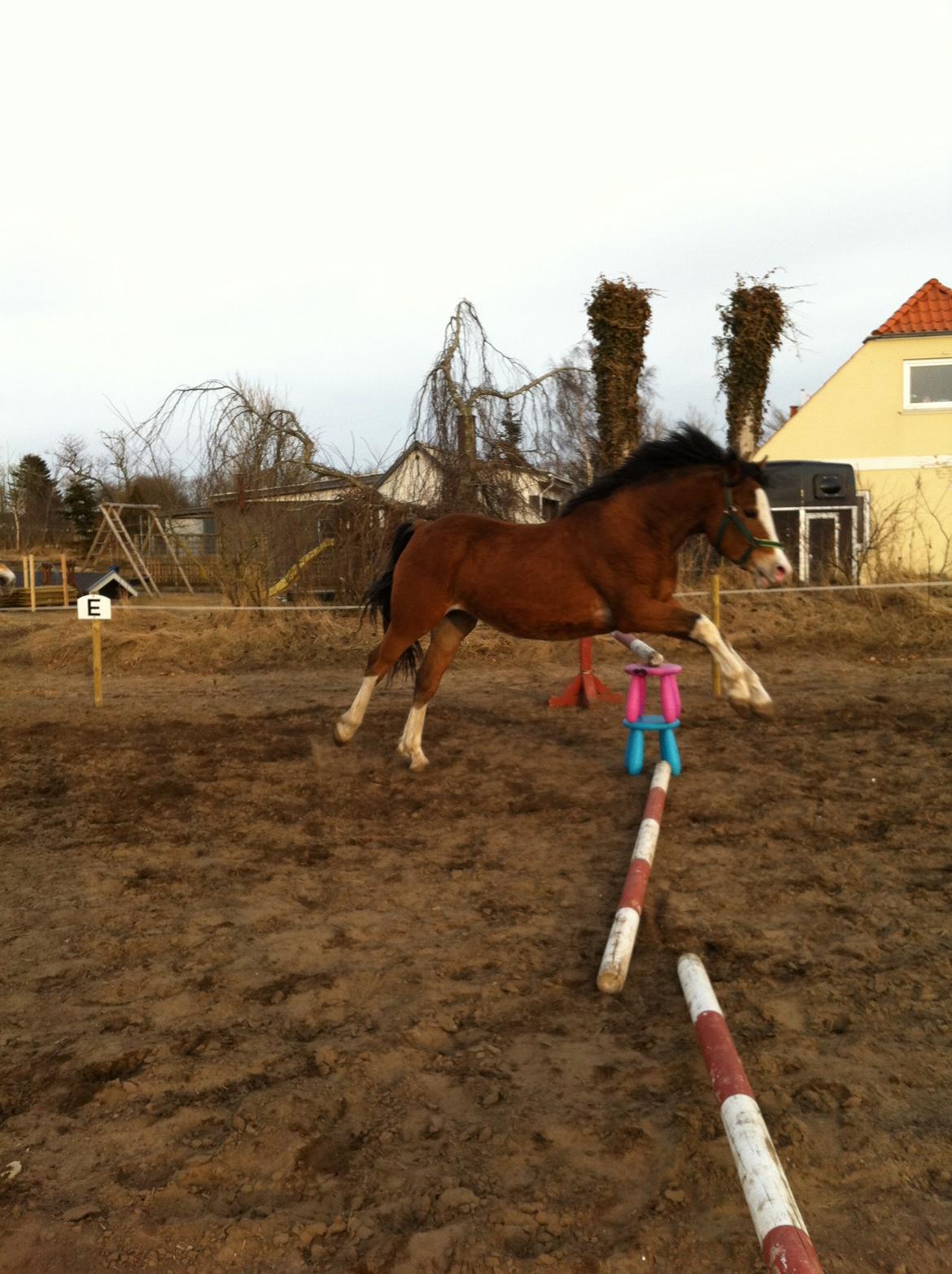 DSP De Lukas billede 4