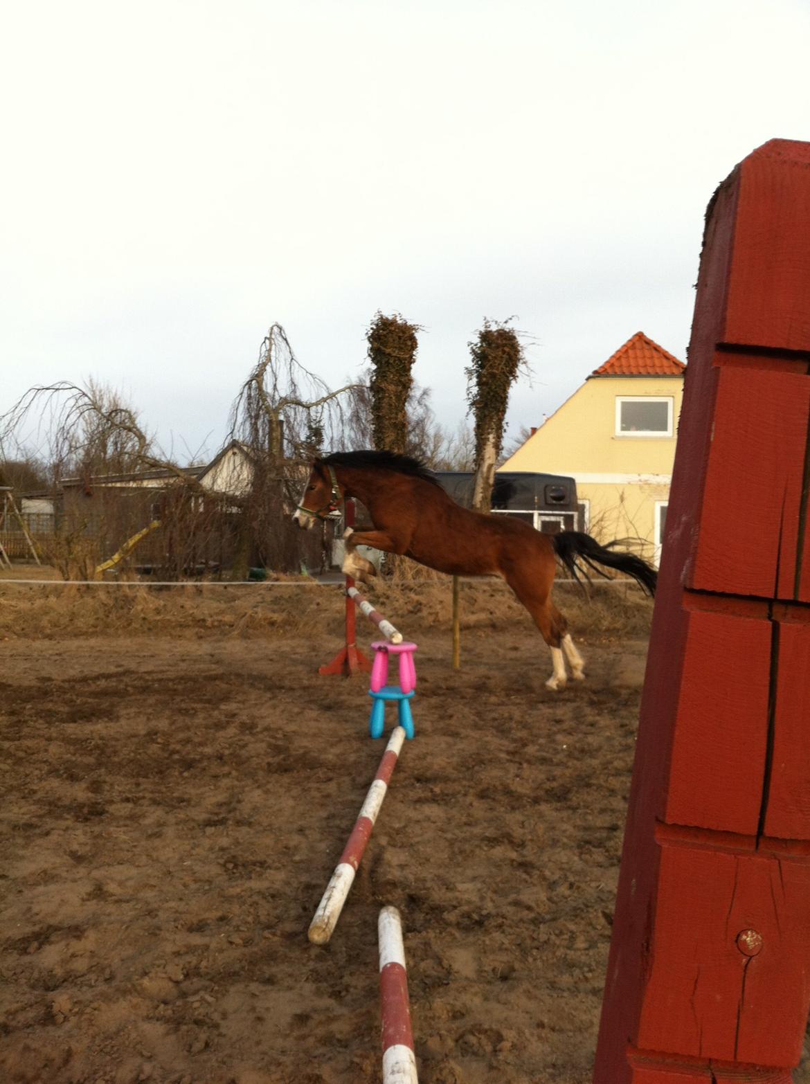 DSP De Lukas billede 5