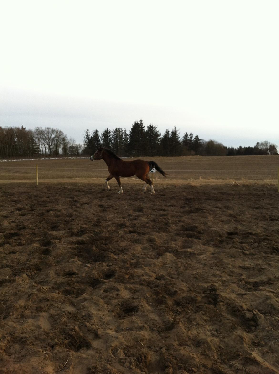 DSP De Lukas billede 6