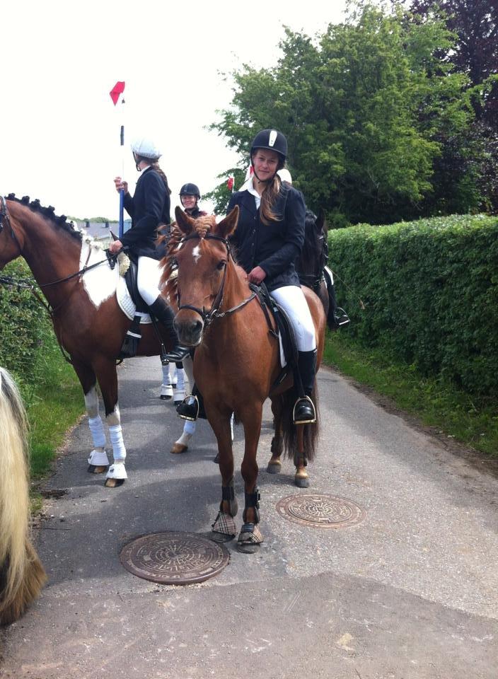 Islænder stjarna<3 - endnu et billede fra hørup :D billede 3