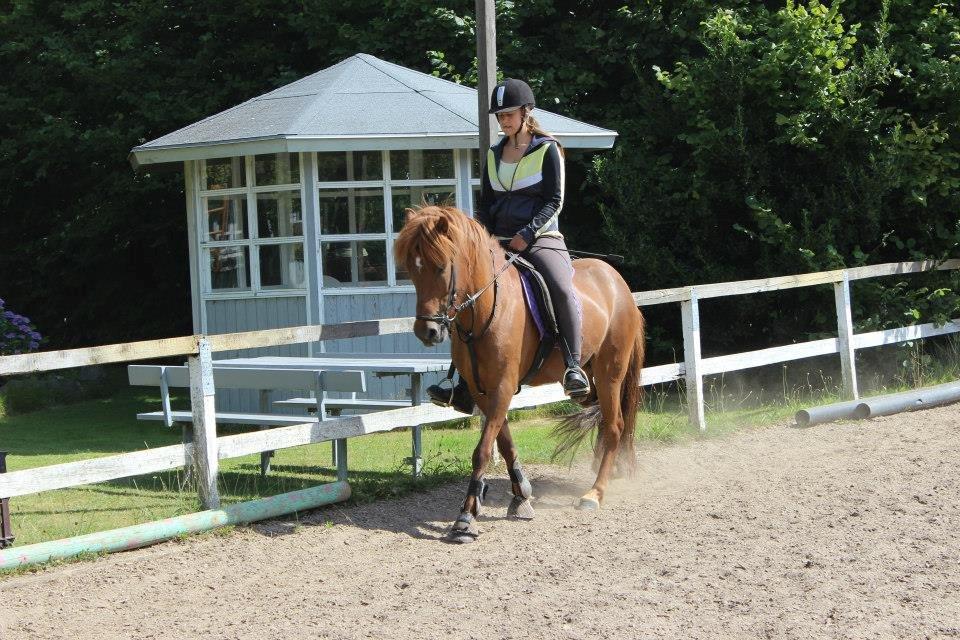 Islænder stjarna<3 billede 8