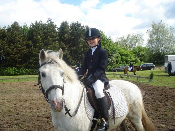 Anden særlig race Lucas billede 12