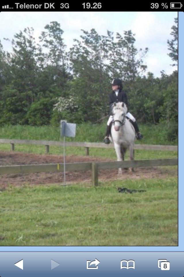 Anden særlig race Lucas billede 15