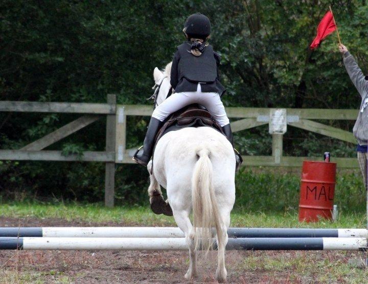 Anden særlig race Lucas billede 19