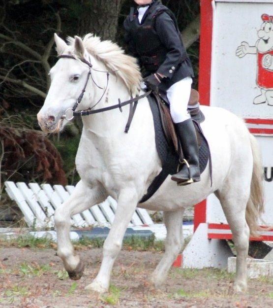 Anden særlig race Lucas billede 20